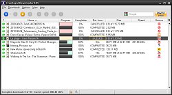 Free Rapid Downloader - Stahování souborůFreeRapid Downloader