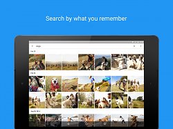 VyhľadávanieGoogle Fotky (mobilné)