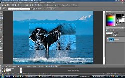 Corel Paint Shop Pro - Částečné použití filtru