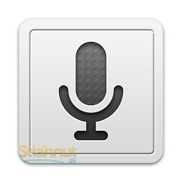 Voice Search (mobilné)