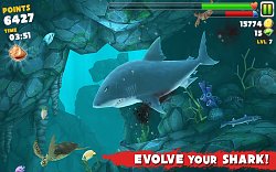 Rast žralokaHungry Shark Evolution (mobilné)