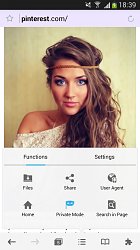 PinterestMercury Browser (mobilné)