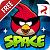Angry Birds Space (mobilné)