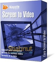 Screen to Video