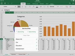RadenieMicrosoft Excel (mobilné)