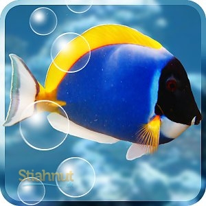 Aquarium Free Live Wallpaper (mobilné)