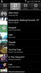 AlbumyMusic Player for Android (mobilné)