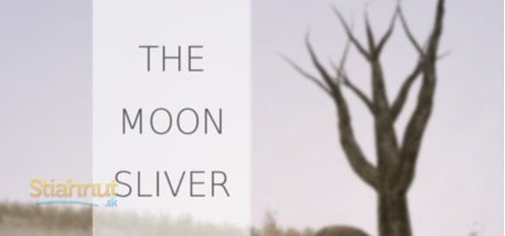 The Moon Silver