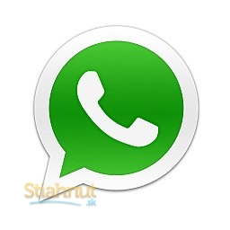 Whatsapp Viewer