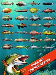 Cez 400 druhov rýbLet's Fish (mobilné)