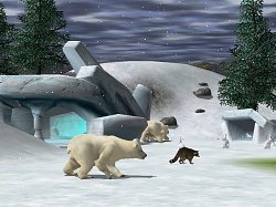 Ľadové medvede