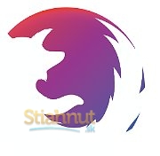 Firefox Focus (mobilné)