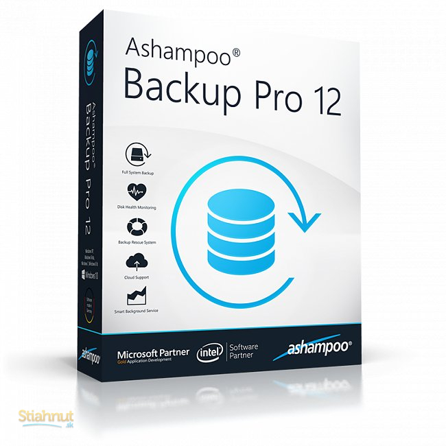 Ashampoo Backup Pro 17.06 download the new version for windows