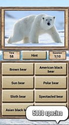 Ľadový medveďAnimal Kingdom - Quiz Game (mobilné)