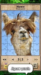PuzzleAnimal Kingdom - Quiz Game (mobilné)