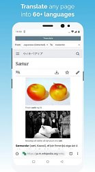 PrekladačKiwi Browser (mobilné)