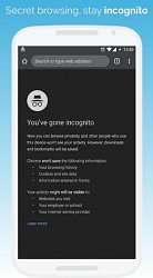 InkognitoKiwi Browser (mobilné)