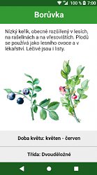 Popis kvetuAtlas rostlin (mobilné)