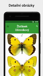 ObrázkyAtlas motýlů (mobilné)