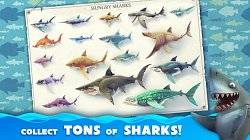 Najrozmanitejšie typy žralokov