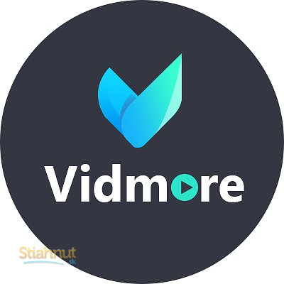 vidmore screen recorder download