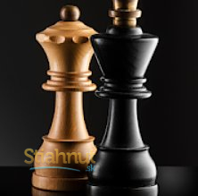 Šach (mobilné)