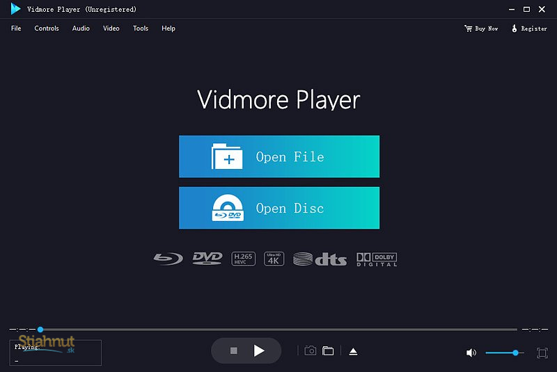 Vidmore Player