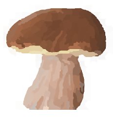Mushroomizer (mobilné)