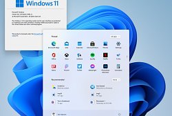 Windows 11Windows 11