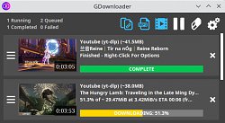 GDownloader