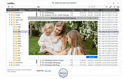 Stellar Data RecoveryStellar Data Recovery