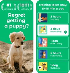 Dogo: Dog & Puppy Training