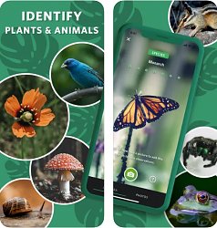 Seek by iNaturalist