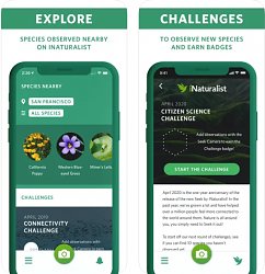 Seek by iNaturalist