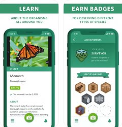Seek by iNaturalistSeek by iNaturalist (mobilné)