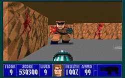 Wolfenstein 3DWolfenstein 3D