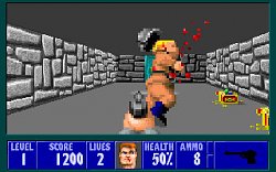 Wolfenstein 3DWolfenstein 3D