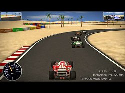 F1 DriverF1 Driver
