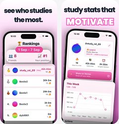 Lilo Study Timer & Challenges