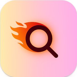 Quick Search - Search Anything (mobilné)