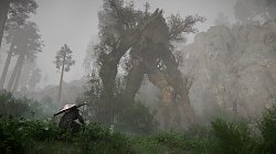 Crimson DesertCrimson Desert