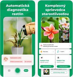 PictureThis - Plant Identifier