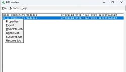BITSJobView